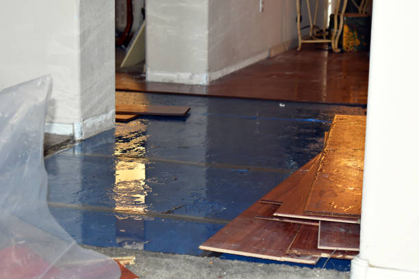 Professional Sewage Cleanup technician working in Sheridan, TX